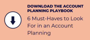 account planning playbook